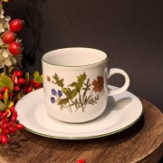 Niemiecka porcelana filiżanka i spodek Eversberg Botanica