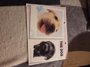 Karteczka do segregatora duża 