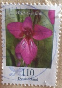 Znaczek pocztowy Niemcy Wild Gladiole mieczyk gladiola