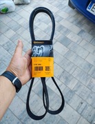 Pasek klinowy Audi A6 C5 Nowy Continental