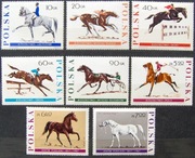 Fi 1592 -99**-Jeździectwo