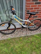 Rower górski Azimut 