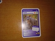 Najgroźniejsze Fossa Madagaskarska nr 54 Super Zwierzaki Biedronka