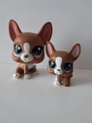 Littlest Pet Shop LPS pieski komplet