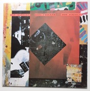 Pat Metheny Question And Answer. winyl