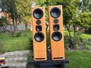ASW Cantius ML VI MK2 kolumny podłogowe stereo