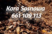Kora Sosnowa 80L Kujawsko Pomorskie  Dowóz Gratis