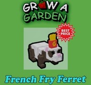 French fry ferret pet