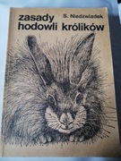 Zasady hodowli królików Niedźwiadek