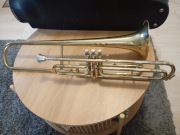 Puzon tłokowy Amati