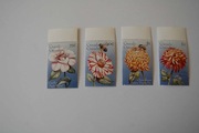 Grenada i Grenadyny Sw 2244-47** kwiaty
