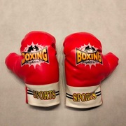 Rękawice do boxu dla dzieci Boxing Figher