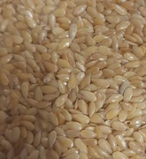 Len łuskany dla mrówek 11 ml 