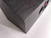 Kolumna centralna Infinity reference 100i