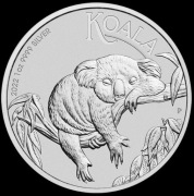 MONETA SREBRNA KOALA 2022