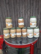 Miód rzepakowy z własnej pasieki w słoikach 1.2kg