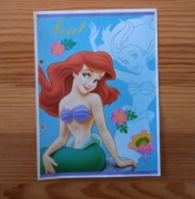 KARTECZKI KOLEKCJONERSKIE DO SEGREGATORA - KSIĘŻNICZKI DISNEY'A 