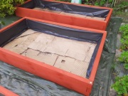 Grządka podwyższona