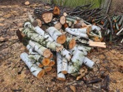 Drewno opałowe - (brzoza, topola, olcha, śliwa).