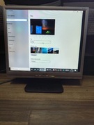 Monitor Acer AL1917 19' Głośniki VGA DVI-D Audio