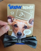 Dekoracyjna mucha dla psa, kota grafitowa 24-40 cm regulowana