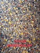 Mieszanka zbóż dla gołębi uniwersalna 20kg