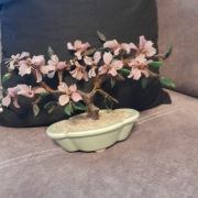 Szklane drzewo Bonsai