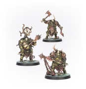 Nurgle Chaos Blight Templars Darkwater - Age of Sigmar - Warhammer