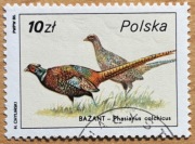 2873, * kasowany, Ptactwo i zwierzyna łowna