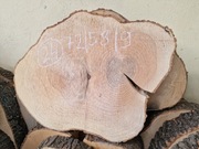 24 JESION 72/58/9 cm Blat Plaster Drewna Stolik Żywica Epoxy DIY Live Edge