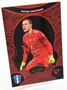 KARTA SPORTZOO MACIEJ GOSTOMSKI WISŁA PŁOCK NET NINJA NN-04 41/90