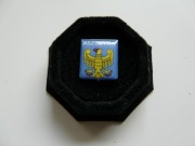 Przypinka (pins) z herbem Pszczyny