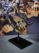 Model czaszki Deathclaw Szpon Śmierci Fallout ekspozytor czarny 