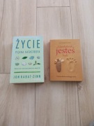 Jon Kabat-Zinn Gdziekolwiek jesteś Bądź Życie Piękna Katastrofa