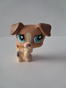 Littlest Pet Shop LPS piesek
