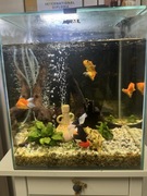 Akwarium AQUEAL Nano  Reef DUO Czarne