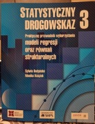 Statystyczny drogowskaz t.3