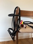 NOWE ogłowie + wodze Euroriding pony 