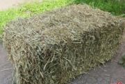 Sprzedam Siano w Kostkach (duże kostki)