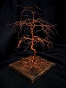 Drzewko z drutu, drzewo szczęścia, bonsai