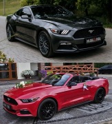 Auto do ślubu, ford Mustang, wynajem auta samochód