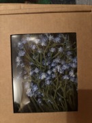 Sztuczne gipsówki komplet 10szt