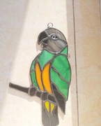 Witraż Tiffany .Papuga afrykanka senegalska.Łapacz słońca.Dekoracja okna