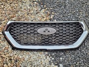 GRIL ATRAPA FORD EDGE II VIGNALE GT4B-8200-VAW