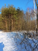 Nieruchomości, ziemia rolna,zakrzaczona