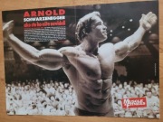 Plakat Arnold Schwarzenegger 