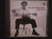 BIG JOE WILLIAMS I got wild 