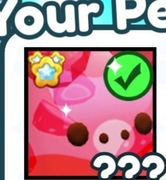 Huge jelly pig pet simulator x |gratis|PILNE