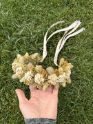 Wianek na głowę z suszonych kwiatów, w klimacie boho, letnim,rekwizyt