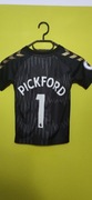 Koszulka piłkarska jest czarna tzw. złota Evertonu Jordan Pickford 1.hummel